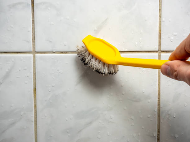 Best Mold Remediation  in Brawley, CA