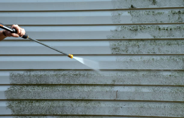 Attic Mold Removal in Brawley, CA