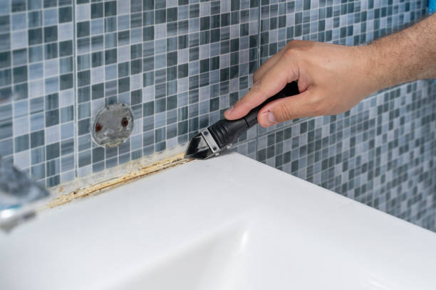 Best Mold Testing and Removal  in Brawley, CA