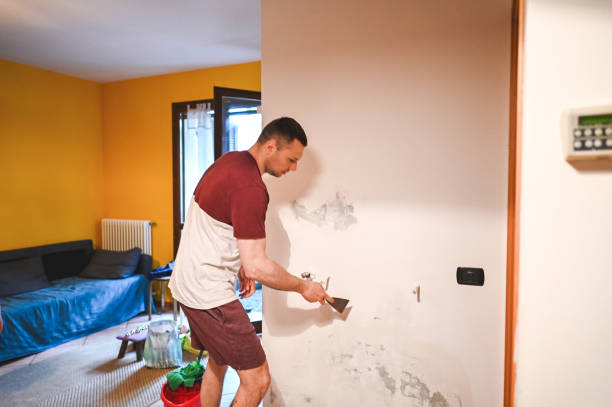 Certified Mold Removal in Brawley, CA